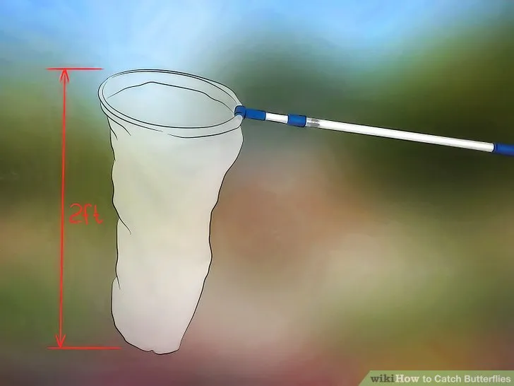 How to Catch Butterflies in OSRS