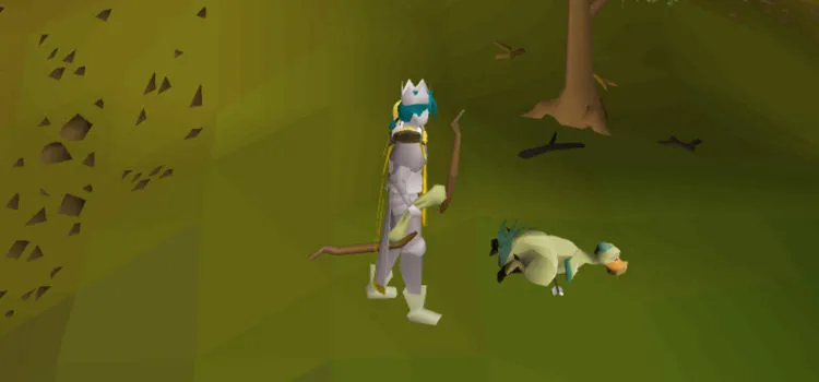 OSRS Chompy Bird Hunting Guide  Tips  FandomSpot