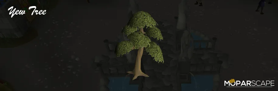 How Long Does It Take for a Yew Tree to Grow in OSRS?