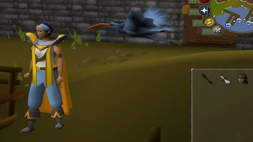 Ultimate Guide to the Best Fishing Gear in OSRS