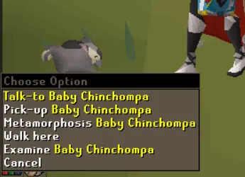 Menu Swap Metamorphosis For Chinchompa Pet  Issue 1729  runelite 