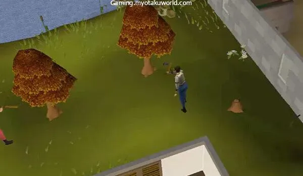 What Is Ranged Attack Bonus  What Does It Do In OSRS  Gaming  MOW