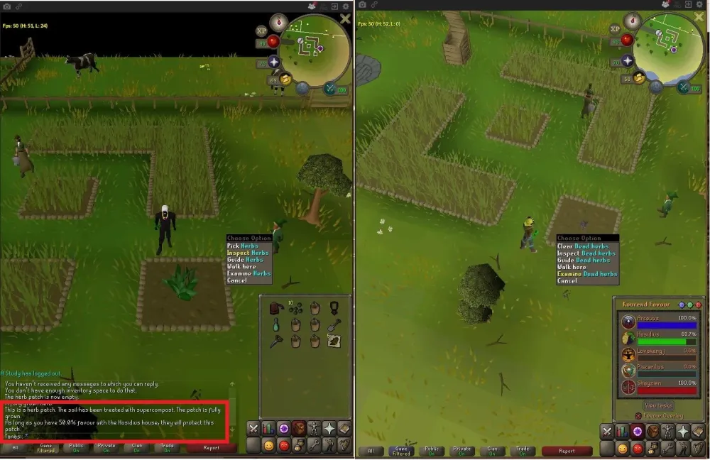Everything You Need to Know About Farming Herb Patches in OSRS