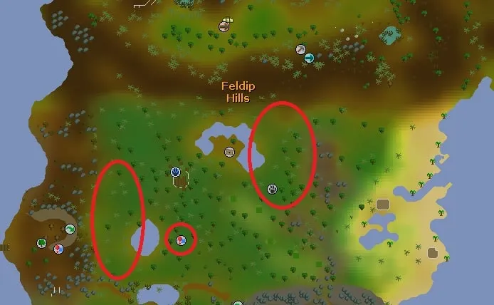 Old School Runescape  The Complete Hunter Guide