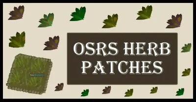 Ultimate Guide to Farming Herb Patches in OSRS