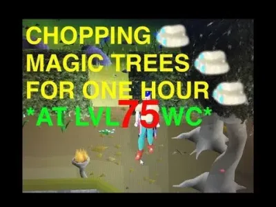 Discovering the Best Places to Chop Magic Trees in OSRS