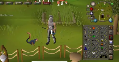 Understanding the Challenges of Dying with Your Pet in OSRS