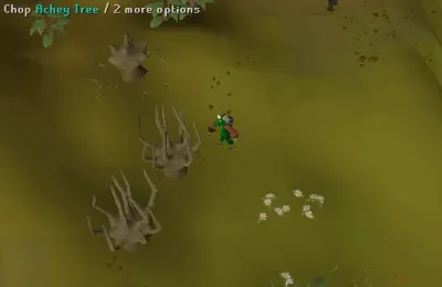 Ultimate Guide to Hunting Chompy Birds in OSRS