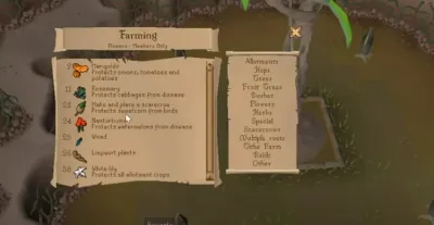 Understanding the Grow Time of Hespori in OSRS