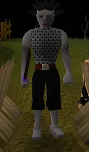 Everything You Need to Know About the OSRS Black Knight Titan