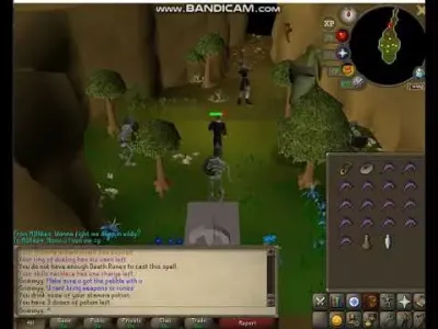 How to Obtain Glarial’s Pebble in OSRS