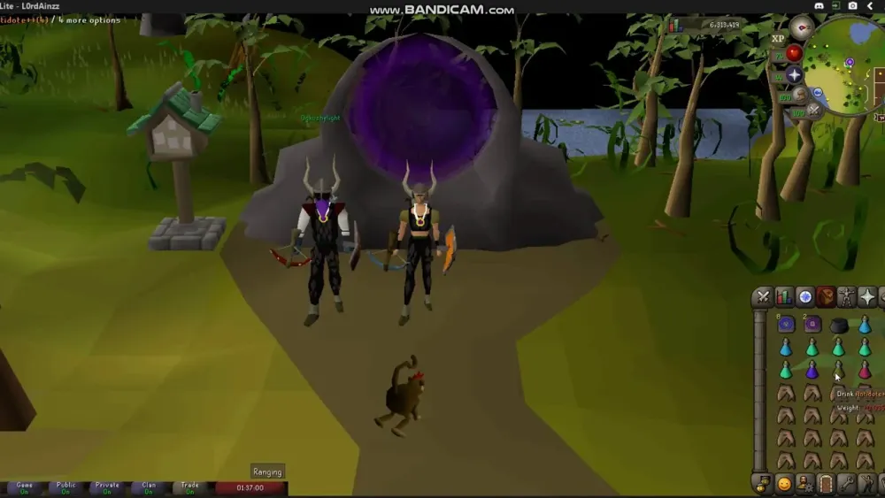 Osrs  King Black Dragon Guide 2020  YouTube