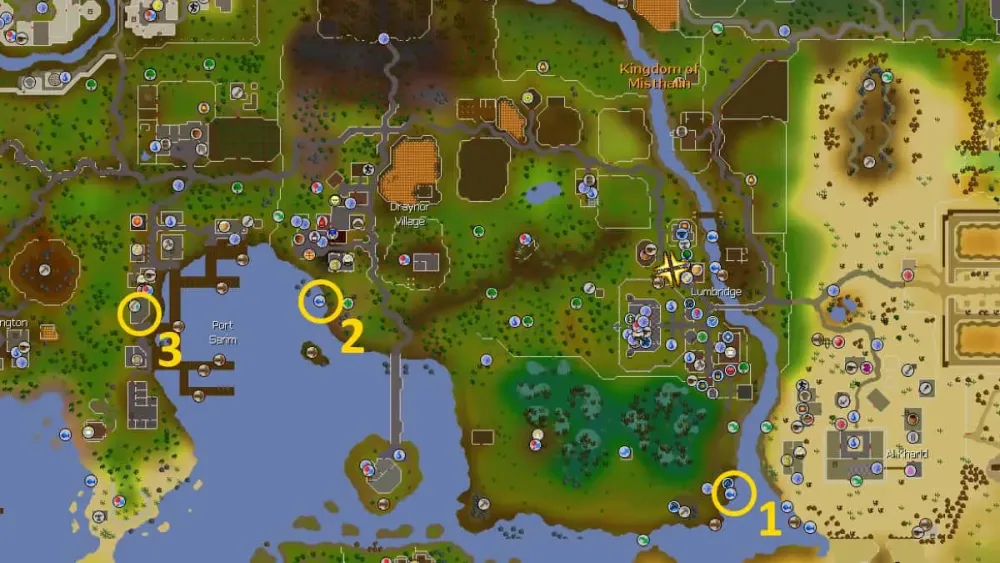 Osrs Fishing Guide 2024  Chelsy Georgette