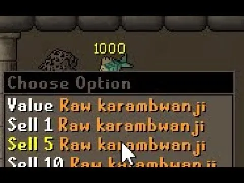 Best AFK Fishing in OSRS: Top Methods for Easy XP and Profit in 2025