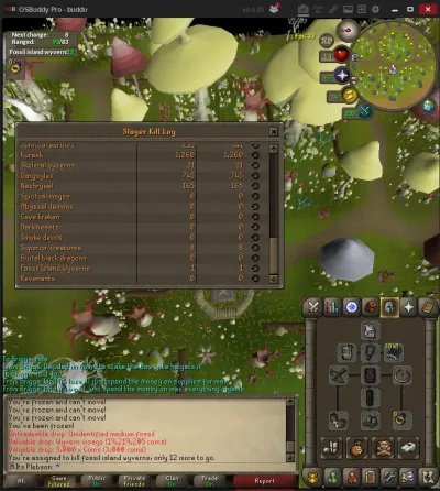 The Ultimate Guide to the Fossil Island Wyvern Task in OSRS