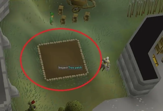 OSRS Farming Tree Patches: Your Guide to Growing Wealth in Gielinor