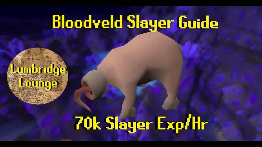 OSRS 2022 Bloodveld Slayer Guide  70k Slayer ExpHr  YouTube