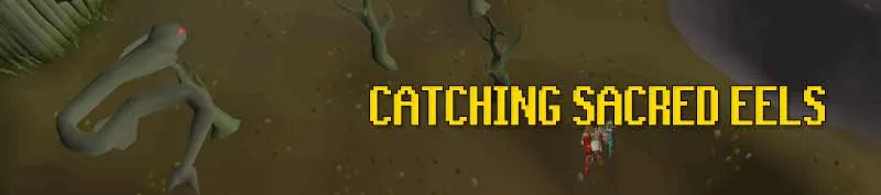 OSRS QUICK GUIDE Fishing moneymaking F2PP2P  OSRS Guide