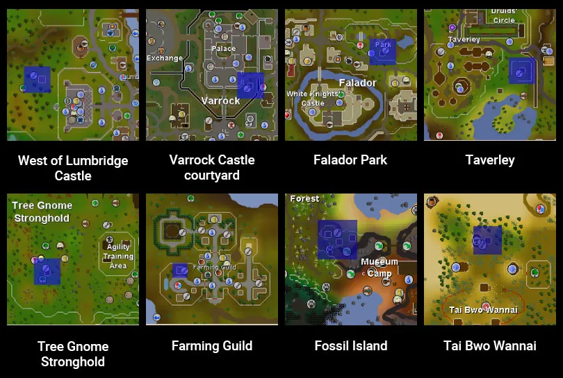 Uncover The Secrets Of Fruit Tree Patching In OSRS A Comprehensive Guide