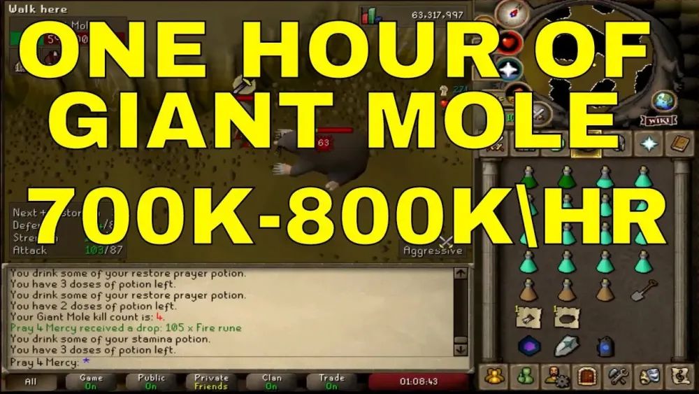 OSRS P2P COMBAT MONEY MAKING METHOD GIANT MOLE  YouTube