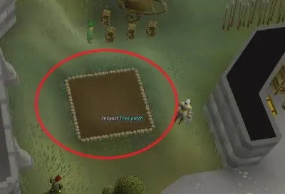 OSRS Farming Tree Patches: Your Guide to Growing Wealth in Gielinor