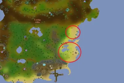 OSRS Fishing Guide: Level 1-99 Fastest Methods for 2025