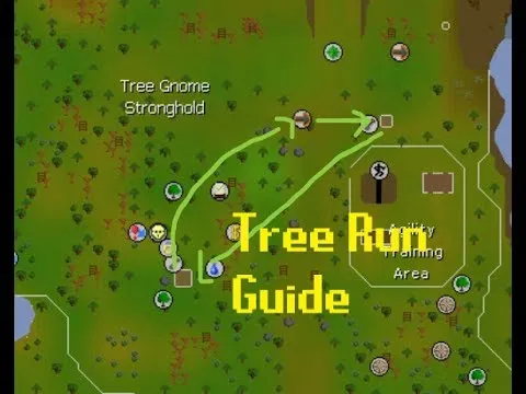 Fruit Trees  Home Gardening Apple Cherry Pear Plum Fruit Tree 