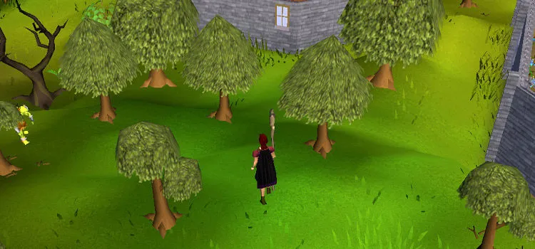 Best Maple Tree Spots in OSRS F2P  P2P  FandomSpot