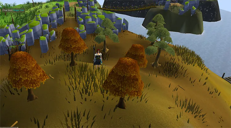 Best Maple Tree Spots In Osrs F2P P2P Fandomspot  Turtleking