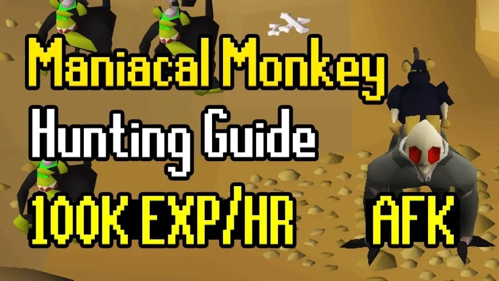 Maniacal Monkey Hunting Guide  AFK Hunter Method  100K ExpHr  YouTube
