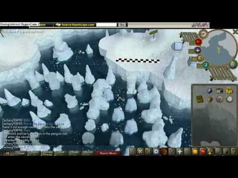 OSRS Penguin Agility Course: Your Guide to Mastering This Unique Training Spot