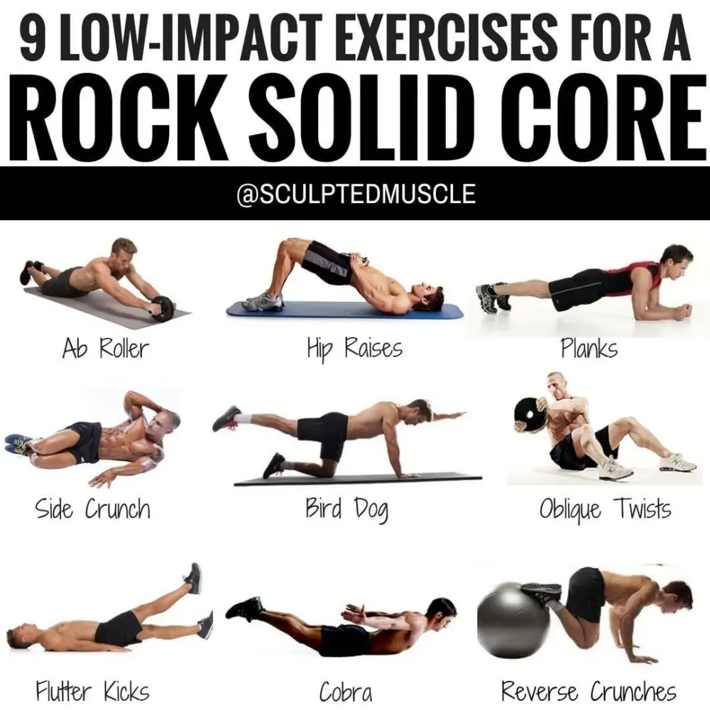 The Body Project Low Impact Workouts For Beginner  Cardio Workout Routine