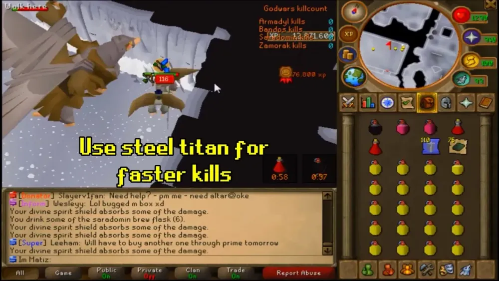 Duo Armadyl Guide OSRS: Master Kree’arra with a Friend in 2025