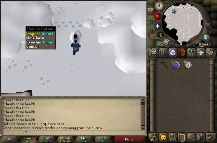 Best Seeds for Bird Houses in OSRS: Maximize Your Hunter Gains