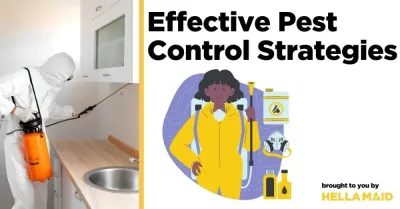 OSRS Efficient Pest Control: Best Strategies to Maximize Points
