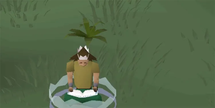 Spider Cave Teleport OSRS: Your Ultimate Guide to Mastering This Item
