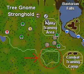 OSRS Mournings Ends Part I  RuneScape Guide  RuneHQ