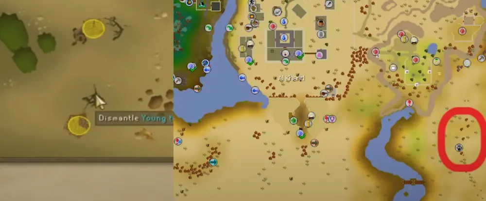OSRS 199 Hunter Guide  NovaMMO