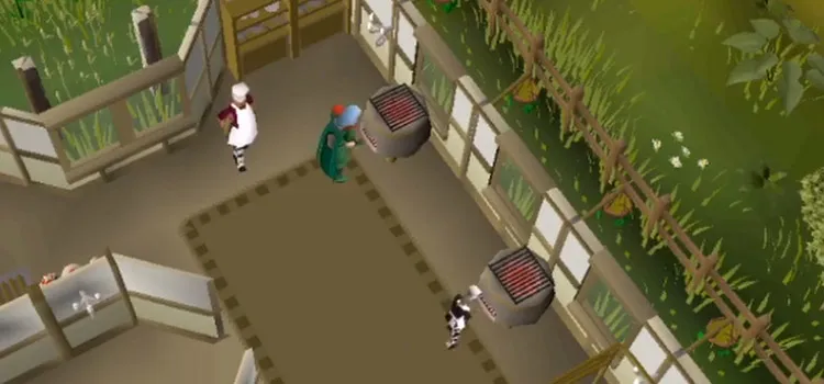The 10 Best Healing Items in Old School RuneScape  FandomSpot