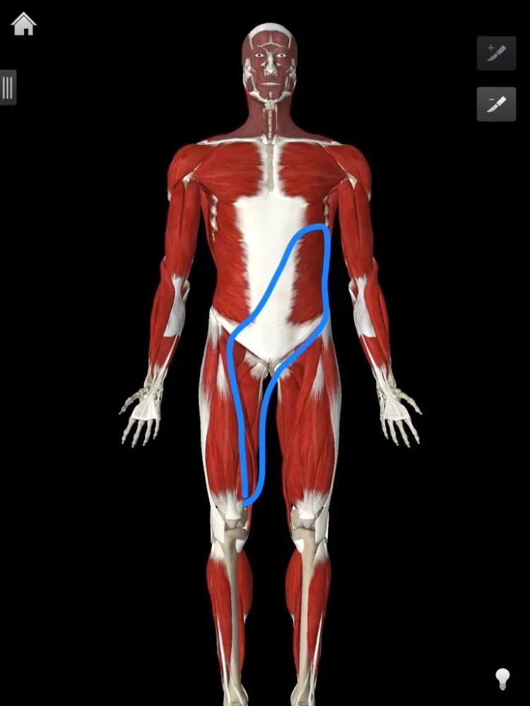 OSR Physical Therapy Shakopee: Your Guide to Exceptional Rehabilitation and Wellness