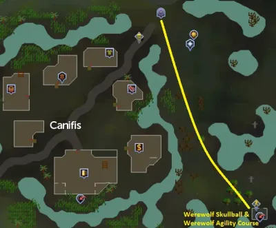 Werewolf Agility Course OSRS: Your Ultimate Guide to Mastering This Training Spot