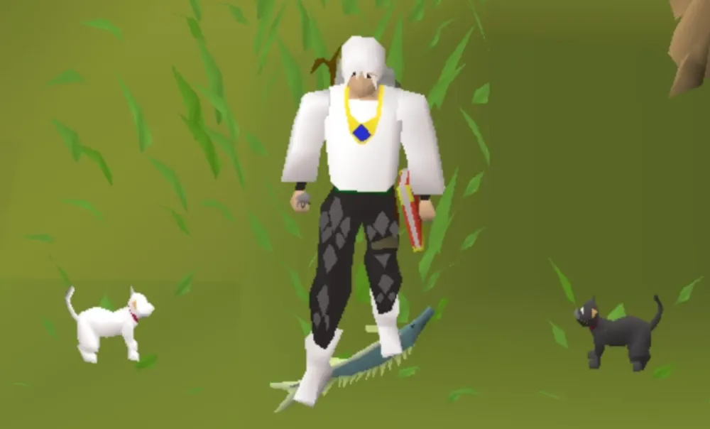 OSRS How to Choose Kitten Color Guide for Players