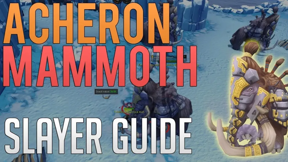 700k slayer XP  Acheron Mammoths slayer guide  Runescape 3  YouTube