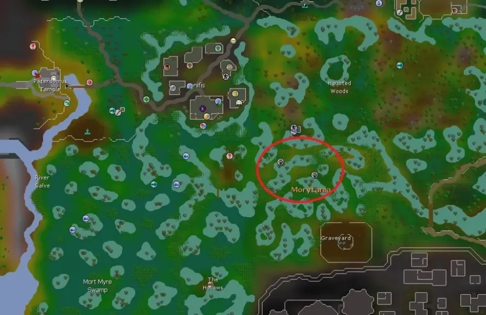 OSRS Catching Swamp Lizards Ultimate Guide