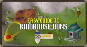How to Do a Birdhouse Run in OSRS – Ultimate Guide for Passive Hunter XP