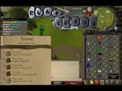 How to plant a tree in OSRS Runescape  YouTube