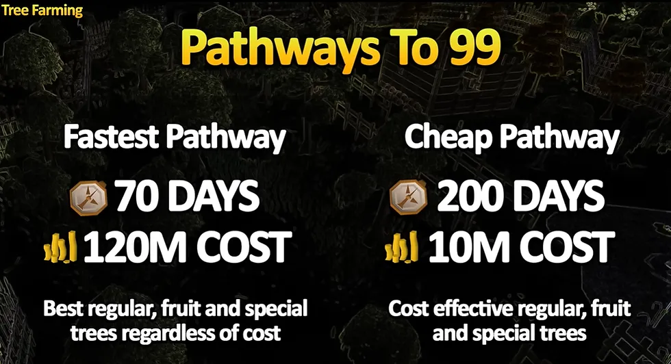 Complete Tree Farming Guide for OSRS  Tree Run Guide