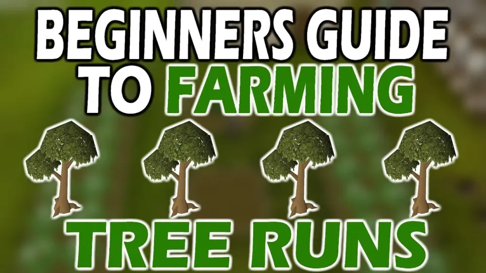 OSRS Collect 5 Palm Leaves Guide for Beginners