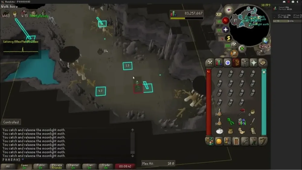 OSRS  Moonlight Moth 110k hr Hunter XP  YouTube