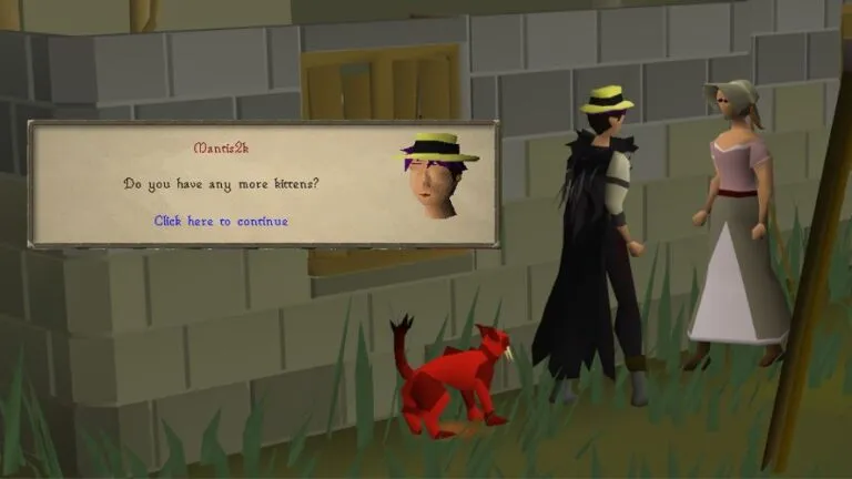 OSRS Kitten Following Time Save Guide